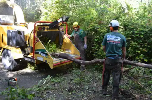 tree services Locust Fork